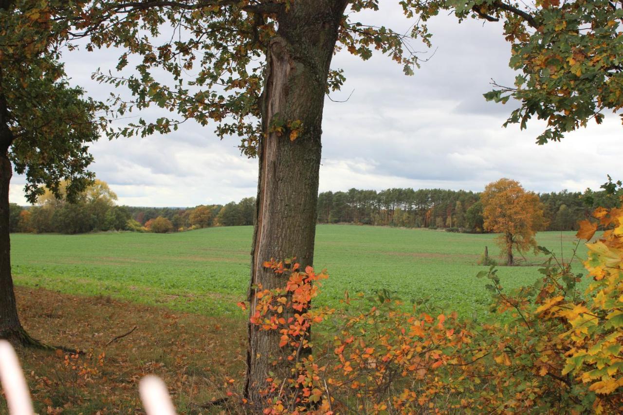 Gospodarstwo Agroturystyczne Agroletnica Świdnica エクステリア 写真