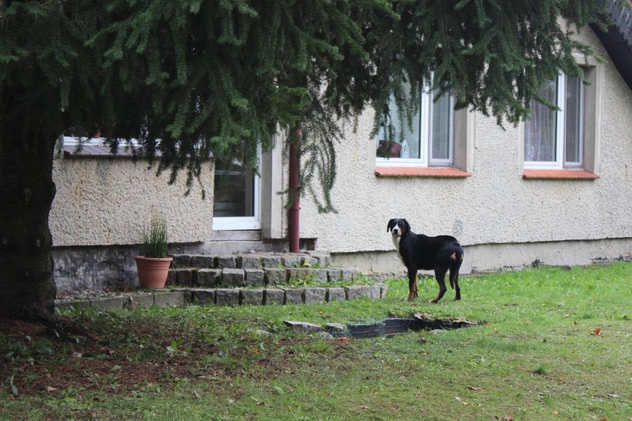Gospodarstwo Agroturystyczne Agroletnica Świdnica エクステリア 写真