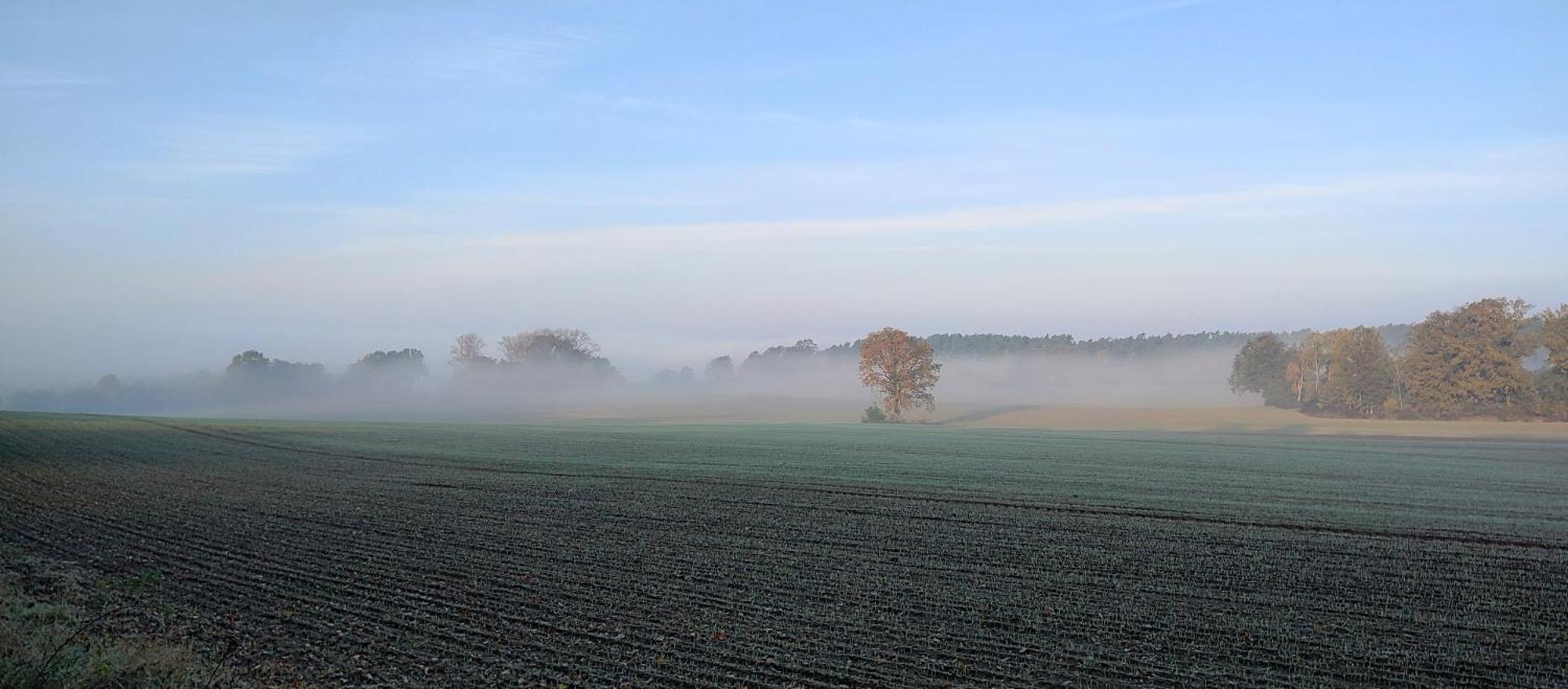 Gospodarstwo Agroturystyczne Agroletnica Świdnica エクステリア 写真