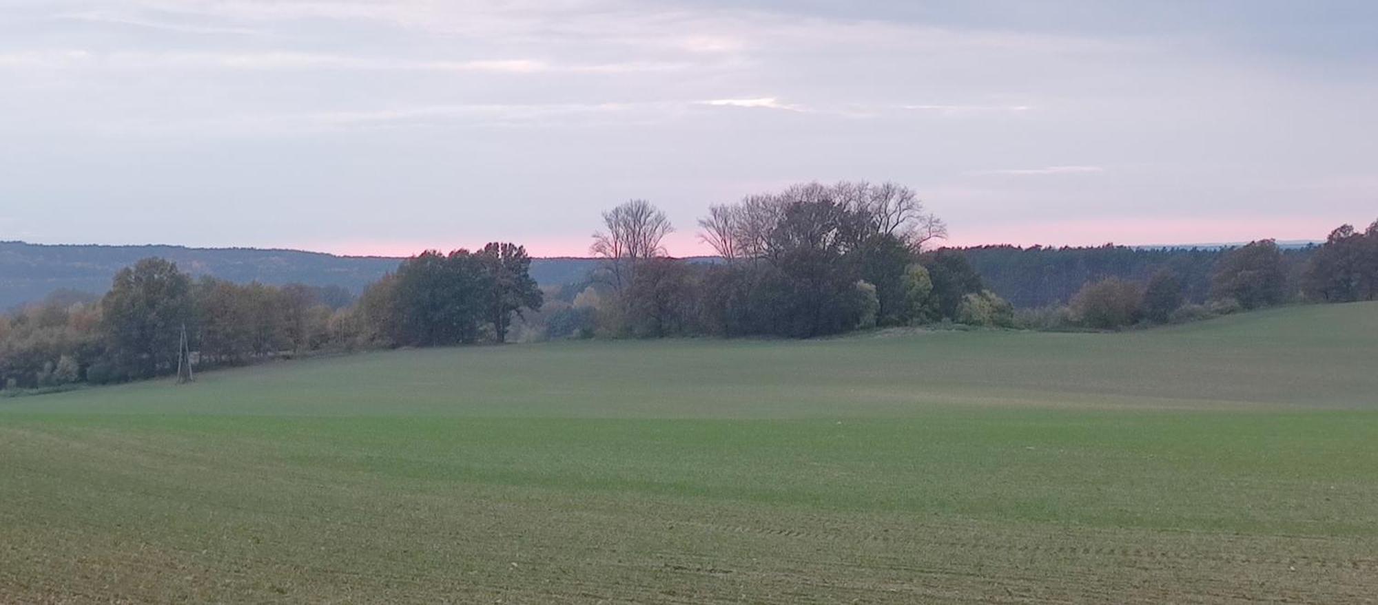 Gospodarstwo Agroturystyczne Agroletnica Świdnica エクステリア 写真